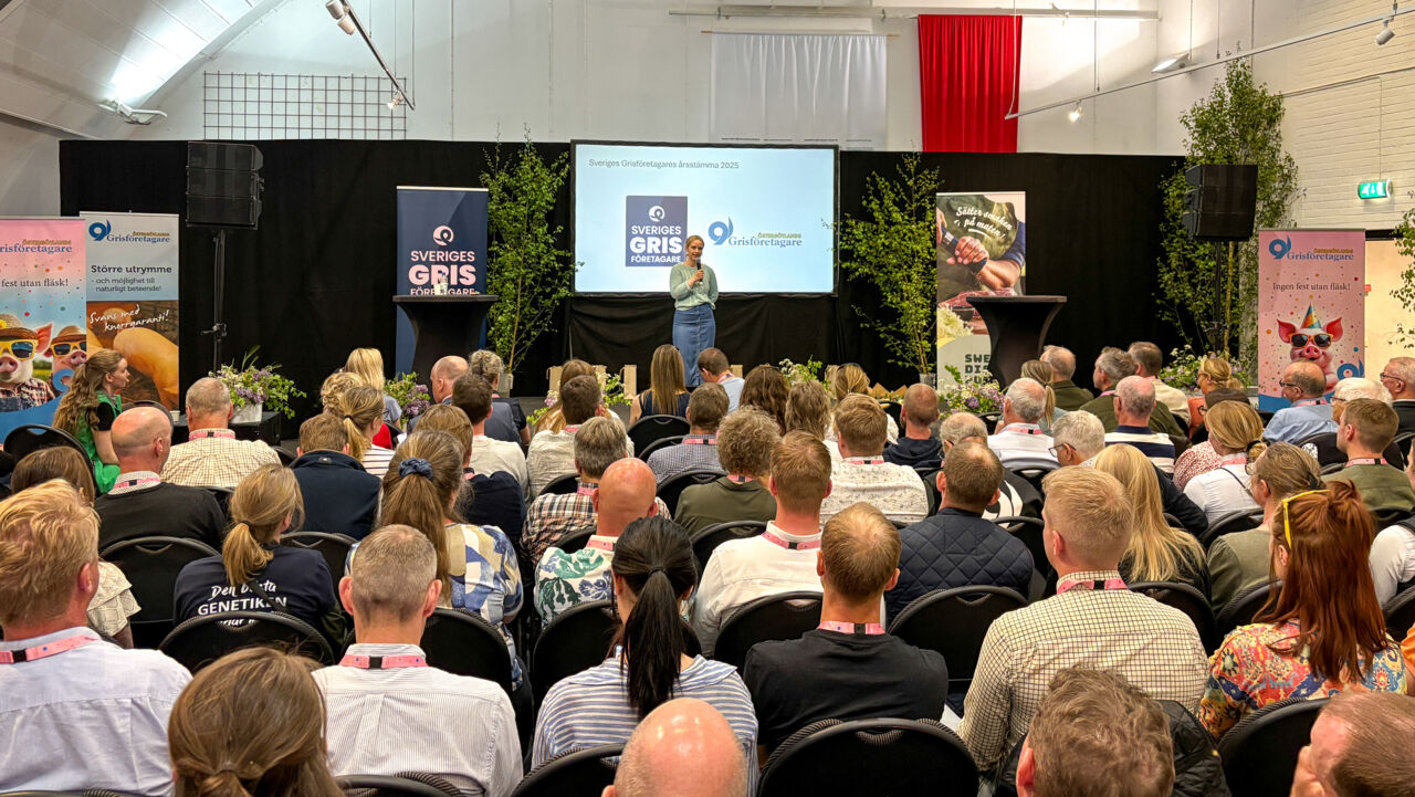Föreläsning på årsstämma för Sveriges grisföretagare 2025