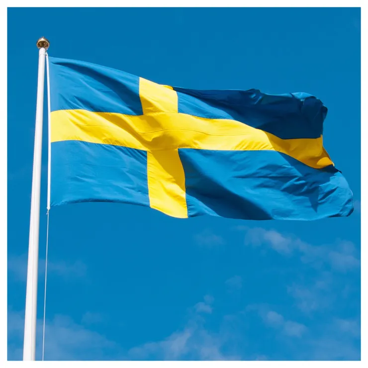 Bilden visar Sveriges flagga på en flaggstång.