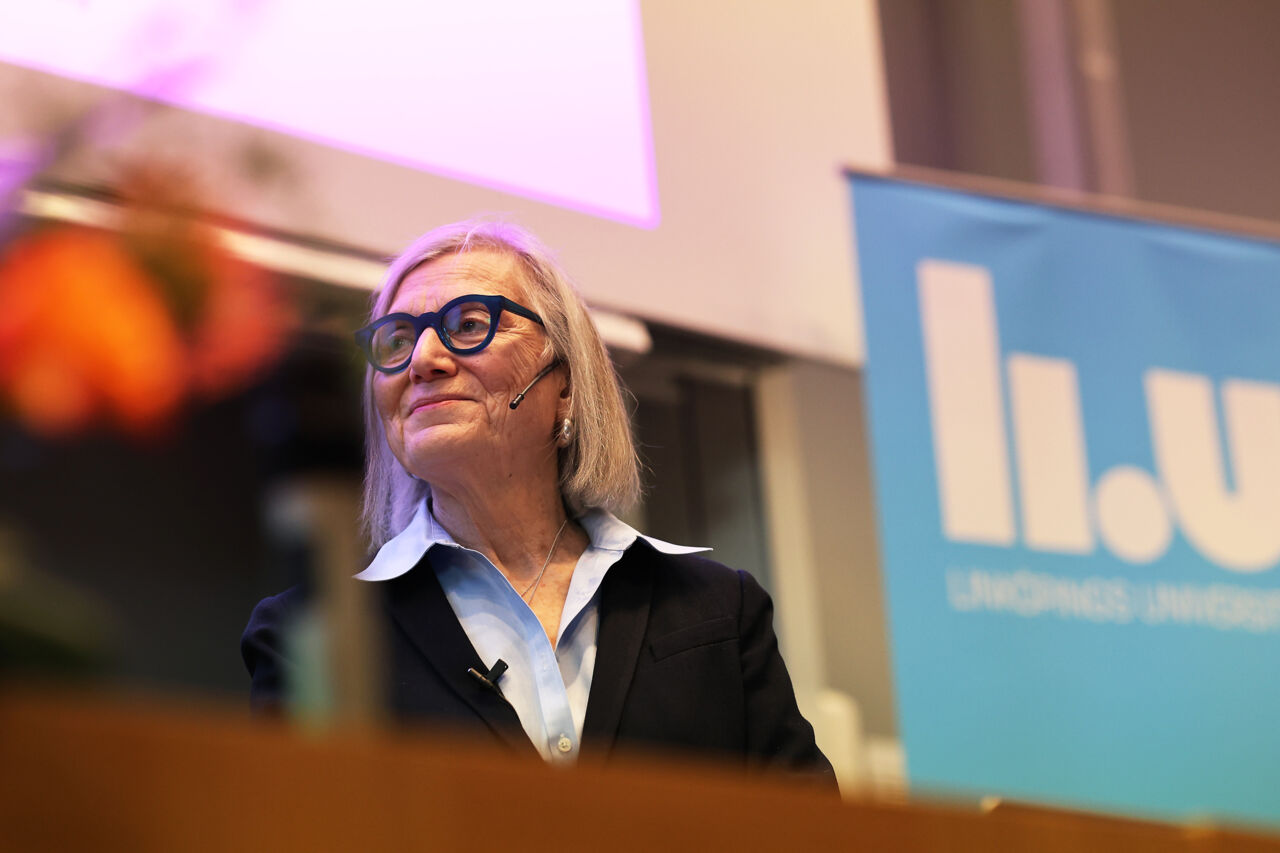 Gillian Einstein at her honorary doctorate lecture