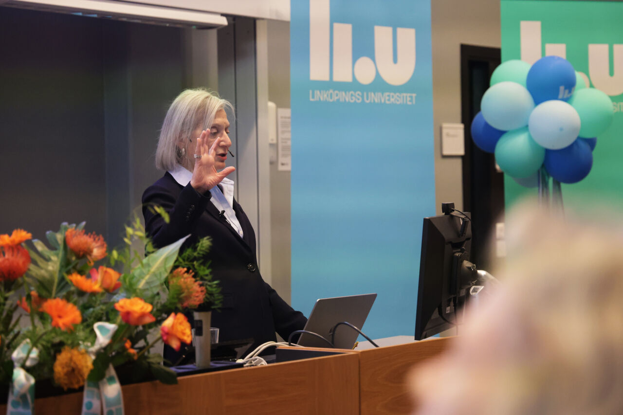 Gillian Einstein at her honorary doctorate lecture