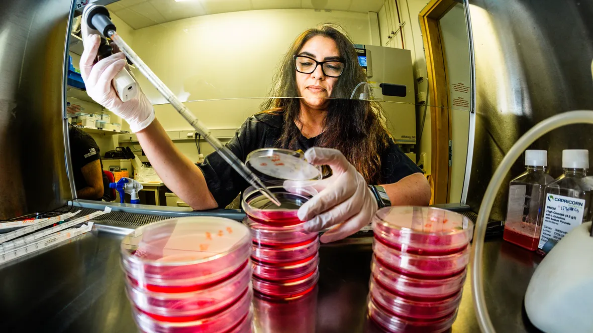 Kvinnlig forskare arbetar i ett dragskåp på labb.