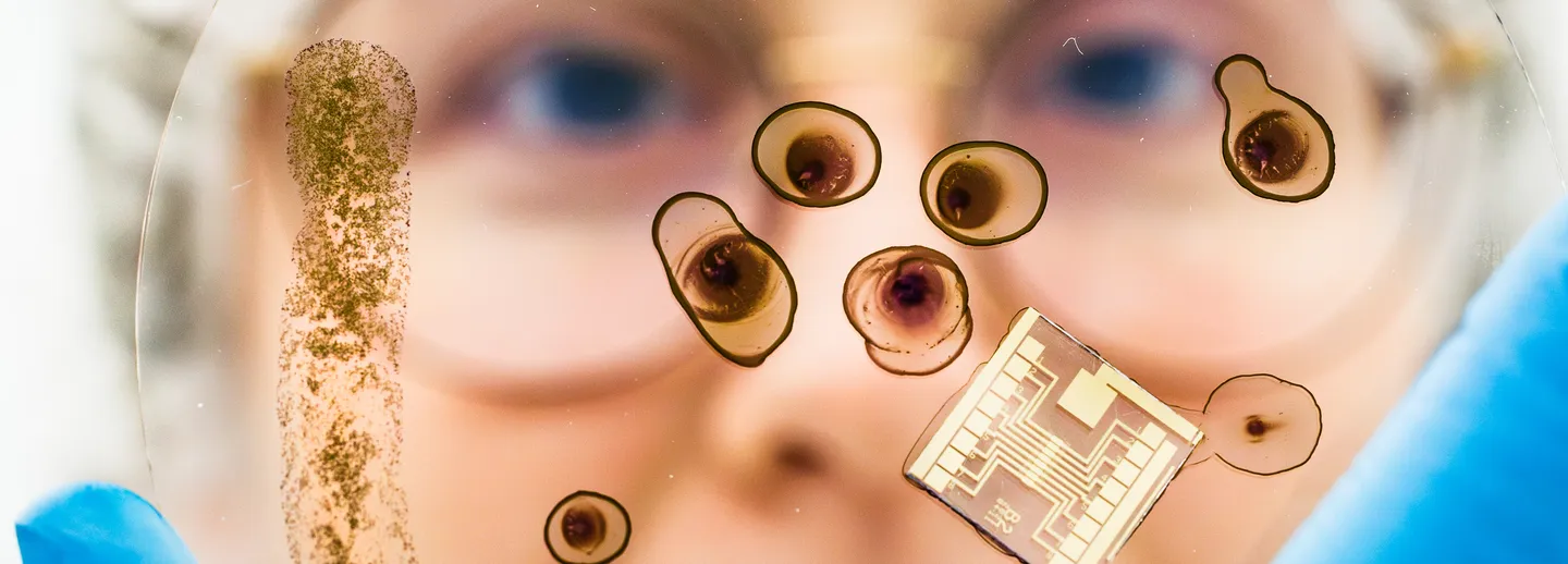 Person håller en glasskiva med blå fläckar framför ansiktet.