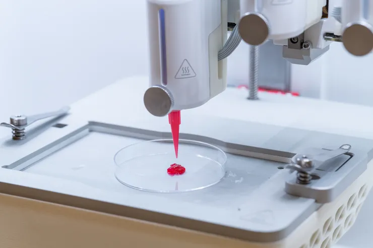 3D-printing of a reddish gel in the form of small pucks.