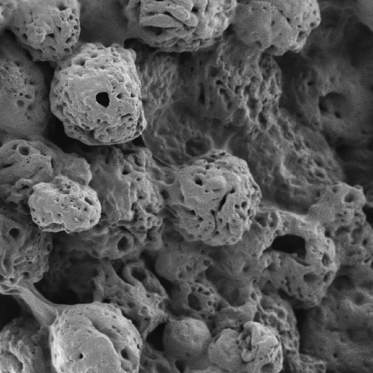 Electron microscopy image of connected spheres.