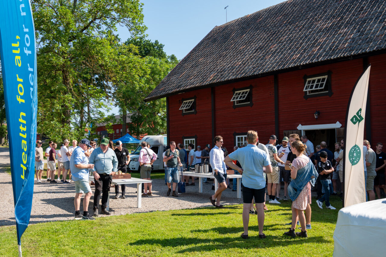 Folk minglar på den ultimata ungdomsträffen.