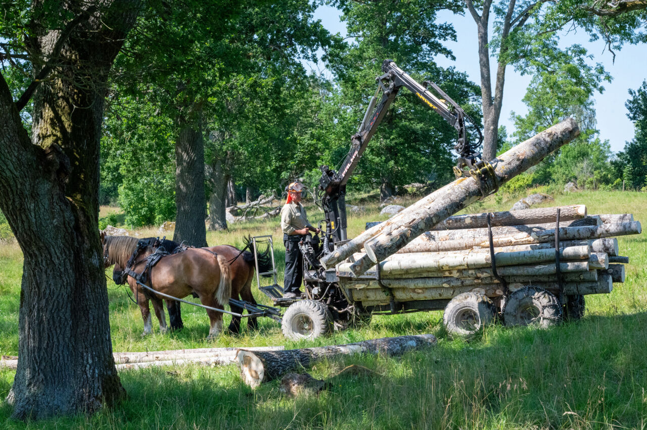 Demovisningar under den ultimata ungdomsträffen på Abbotnäs Säteri, där presentatörer visar upp olika produkter och digitala lösningar för engagerade deltagare.