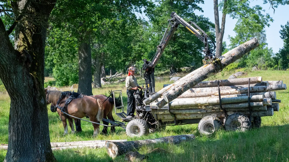 Demovisningar under den ultimata ungdomsträffen på Abbotnäs Säteri, där presentatörer visar upp olika produkter och digitala lösningar för engagerade deltagare.