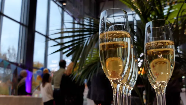 Champagneglas på ett bord med växter i bakgrunden