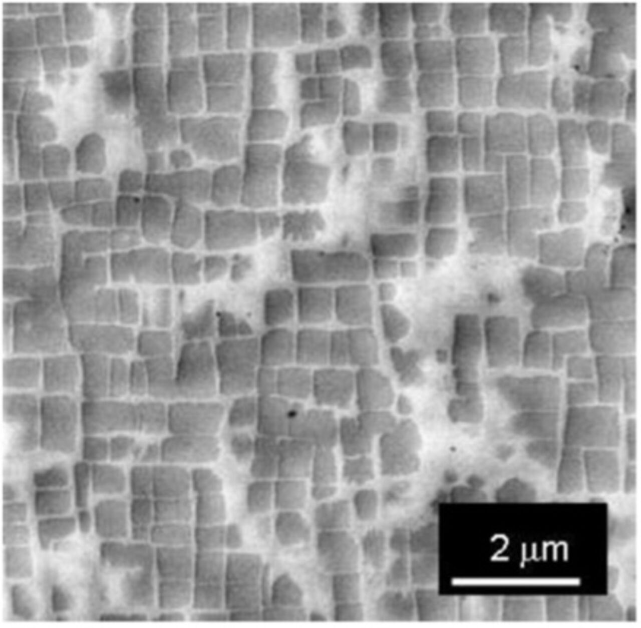 Fig. 1: A typical microstructure of a single crystal in a superalloy.