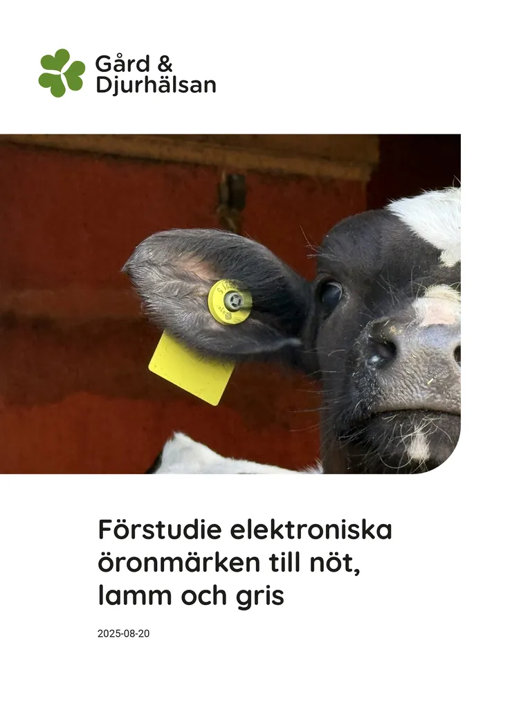 Omslag på rapport.