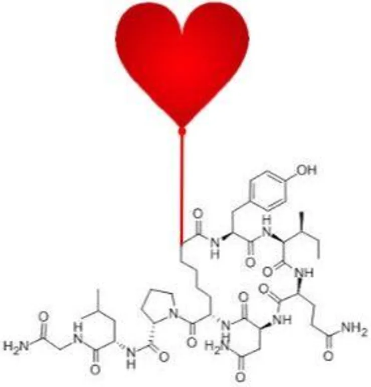 CSAN studie om oxcytocin.