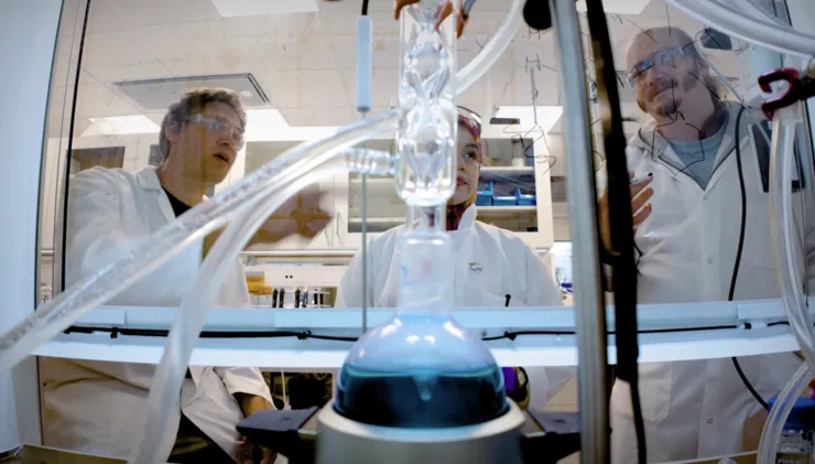 Scientists in lab