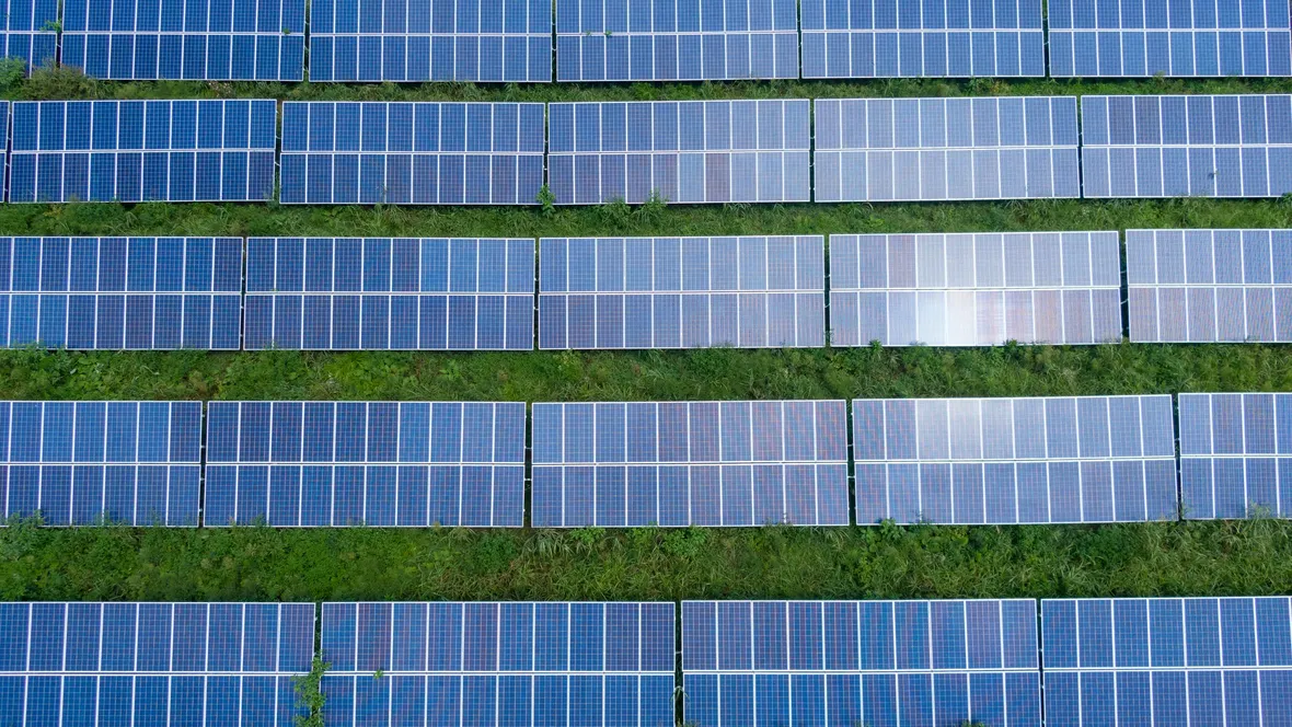 Image of many solar panels