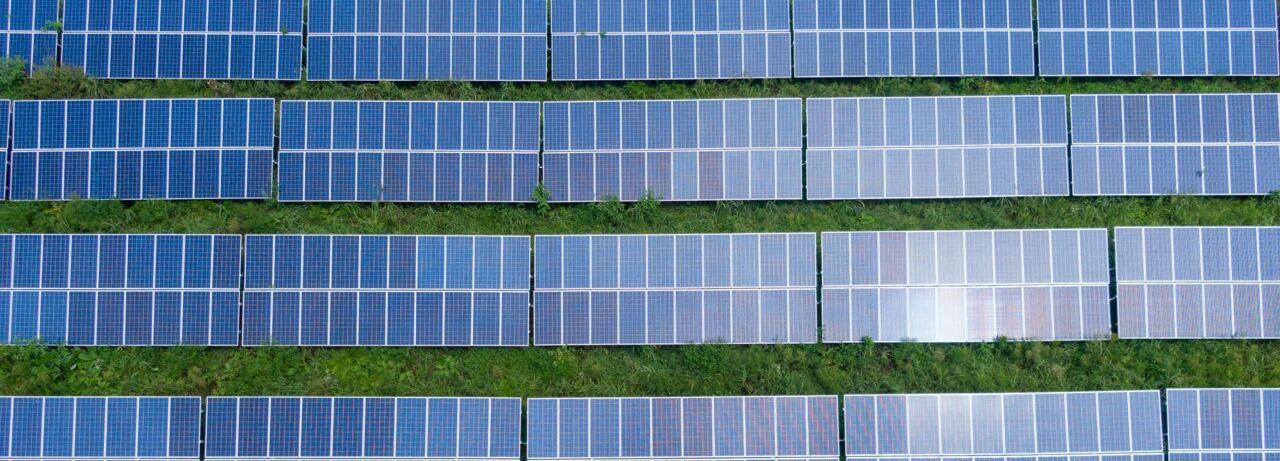 Image of many solar panels
