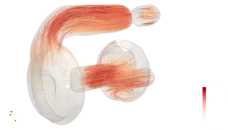 Visualisering av blodflöde.