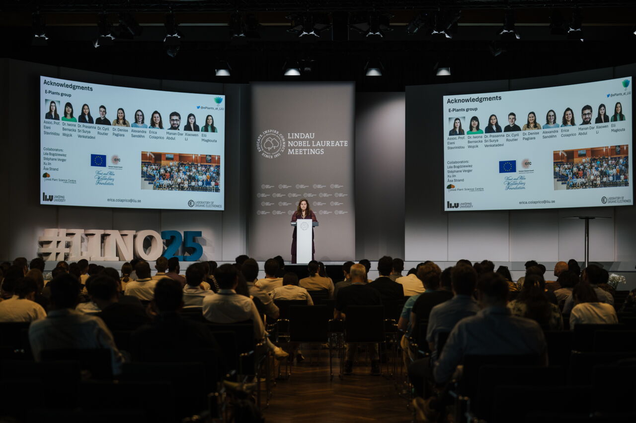 A women speaking to an audience
