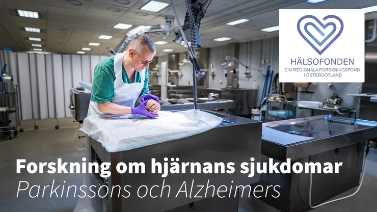 Man dissekerar en hjärna. Text: Forskning om hjärnans sjukdomar Parkinsons och Alzheimers