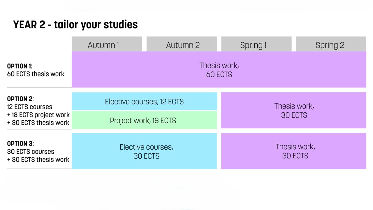 illustration of programme set up year 2