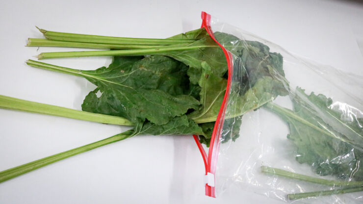 Blad från sockerbeta.