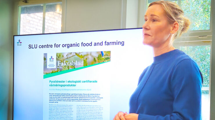 Kvinna som föreläser.