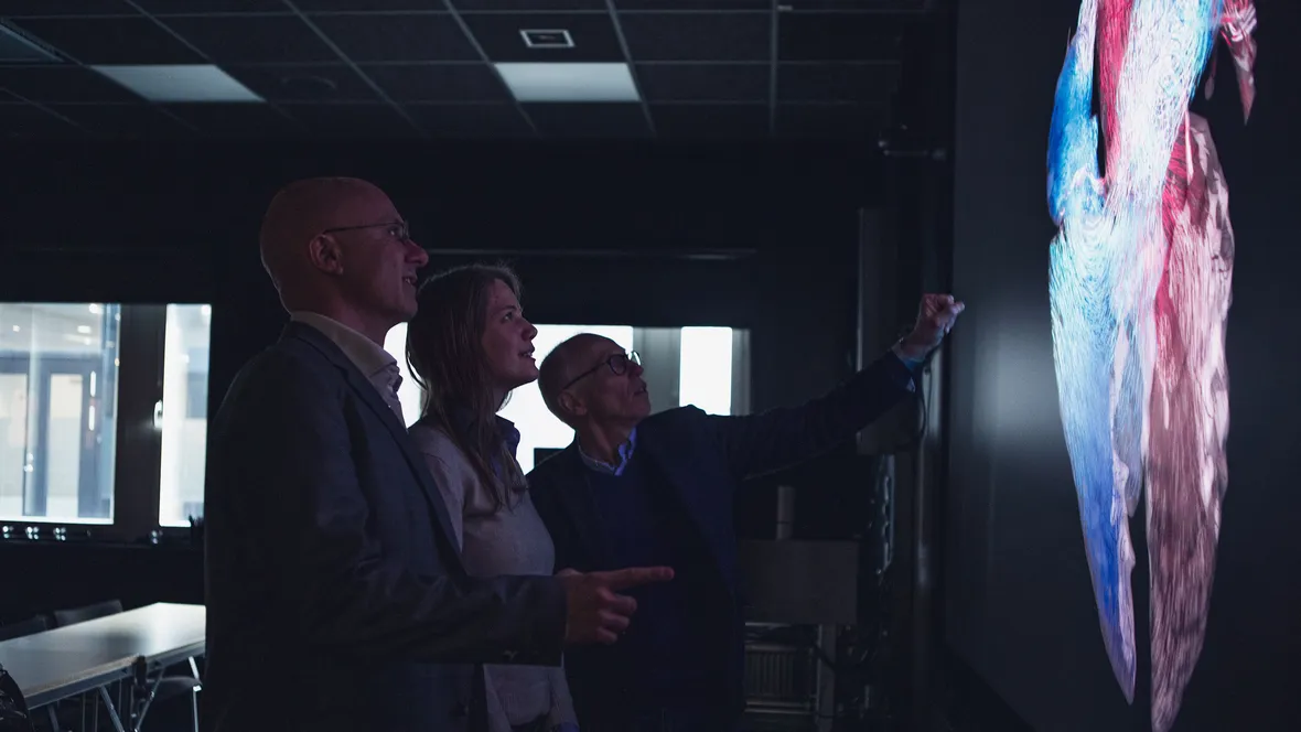 Researchers are looking at a heart image