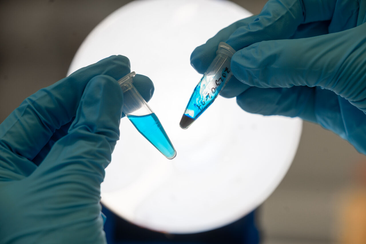 Two test tubes containing a blue solution.