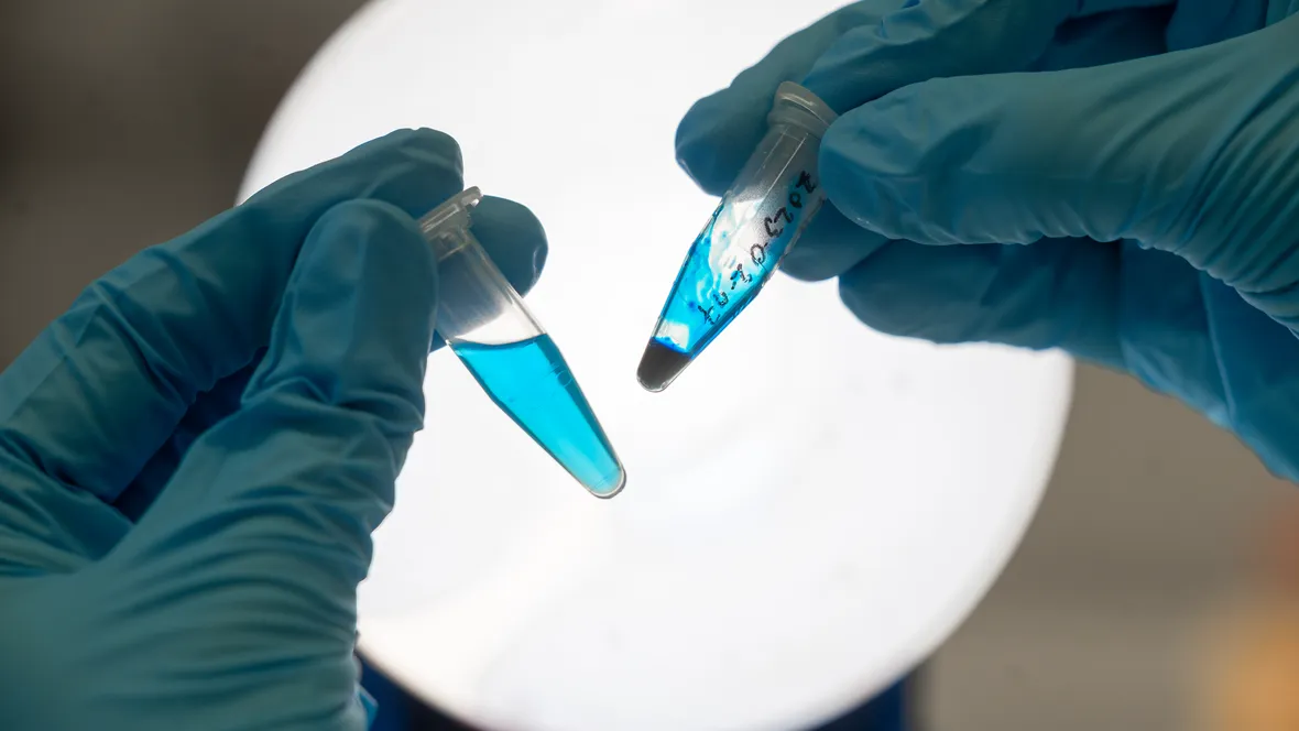 Två provrör med ljusblå vätska i.