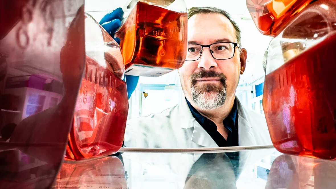 Man tar ut flaskor från ett skåp.