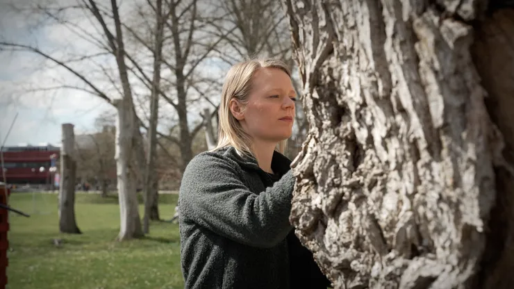 bild på en kvinna som granskar en stubbe av ett träd