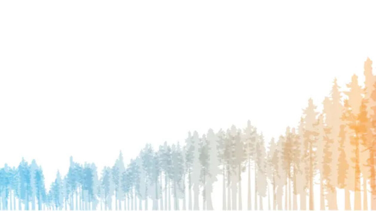 illustrated white trees against a white background