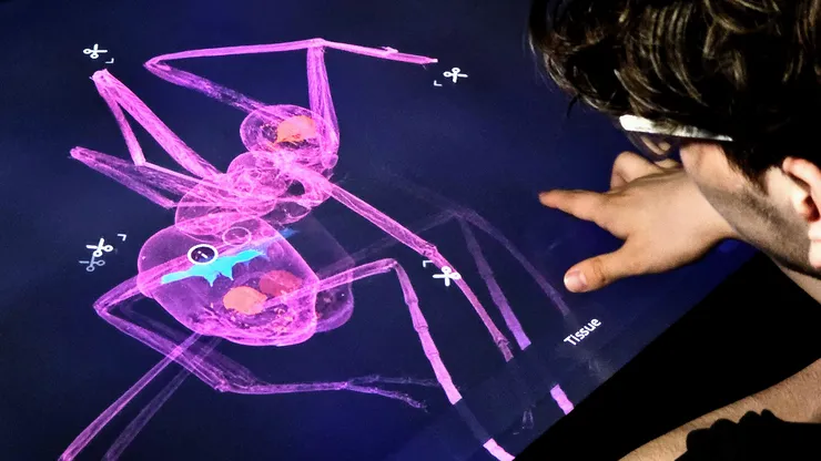 Immersive Visualization.