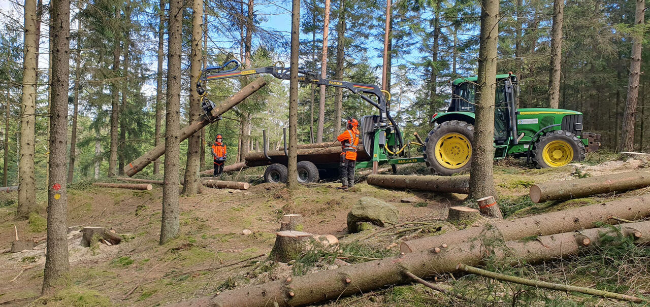 Skogsmaskiner i skogen