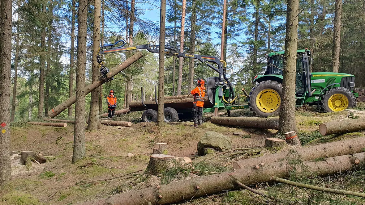 Skogsmaskiner i skogen