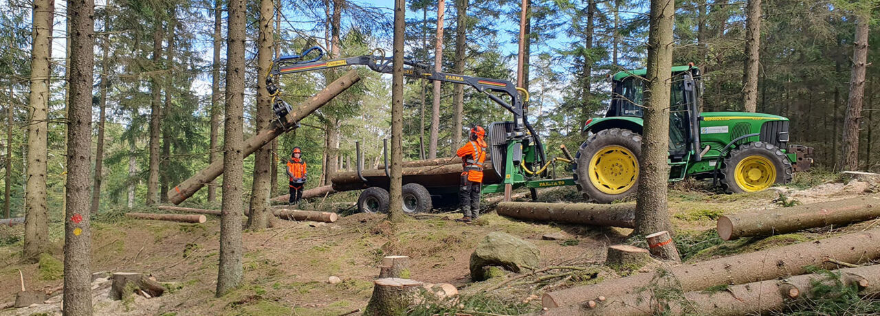 Forestry machinery in the forest