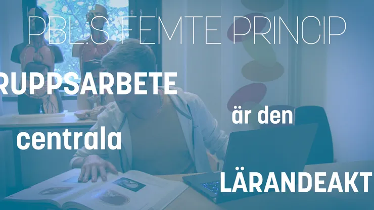 PBL:s femte princip.