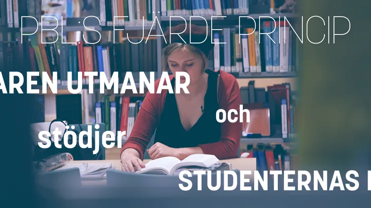 PBL:s fjärde princip.