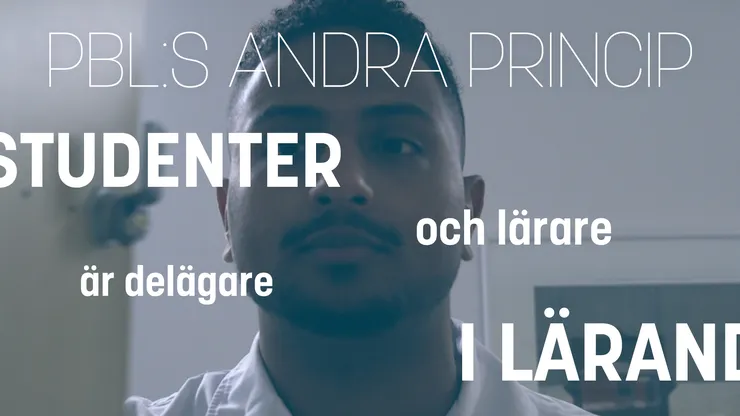 PBL:s andra princip.