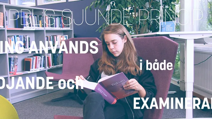 PBL:s sjunde princip.