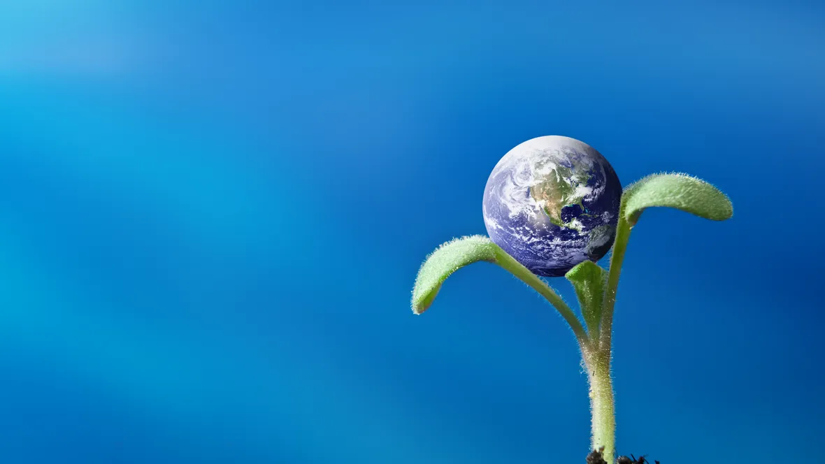 Collage depicting a globe on a plant shoot