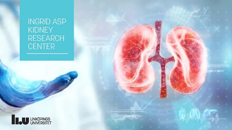 bild på njure och text om Asp Kidney Research Center