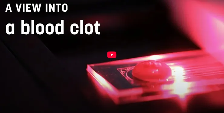 Haemostasis Research Group