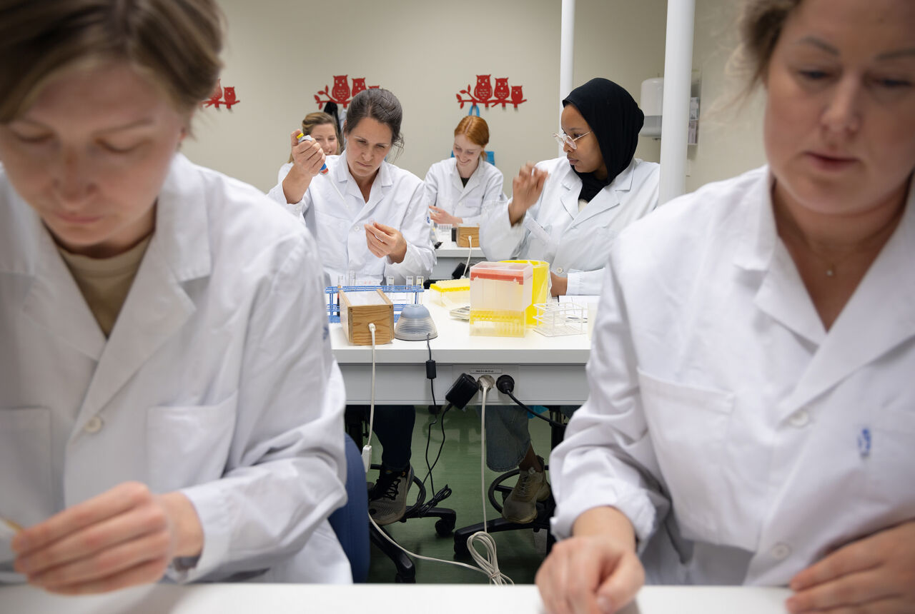 Kursdeltagare i vita rockar genomför blodprover.