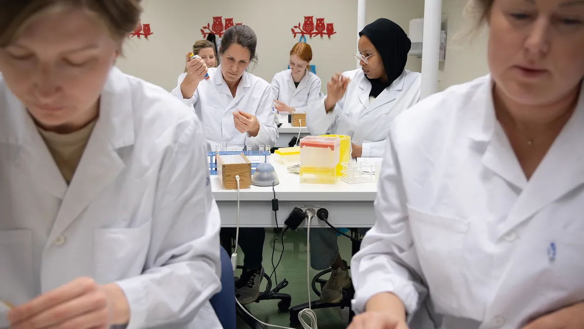 Kursdeltagare i vita rockar genomför blodprover.