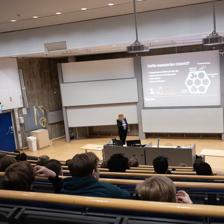 Forskare pratar på en scen.