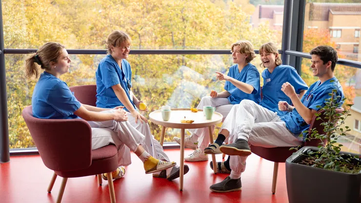 Fem läkarstudenter sitter i fåtöljer runt ett lågt bord vid en glasvägg.