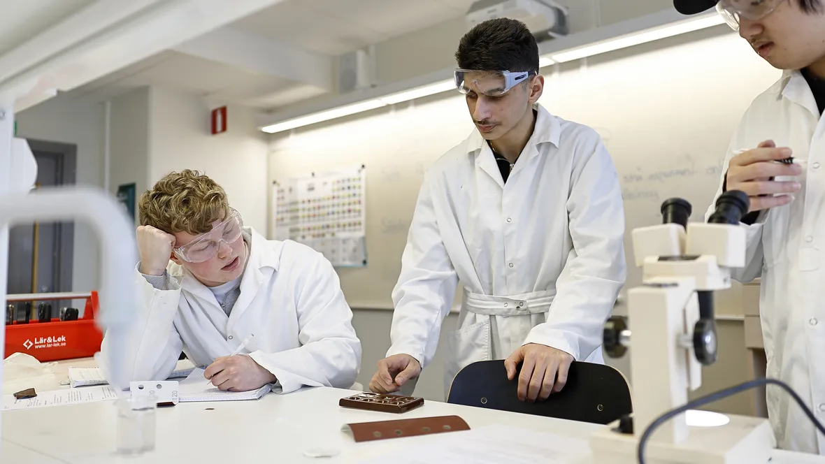 Tre gymnasieelever i laborationsrock tittar i mikroskop.