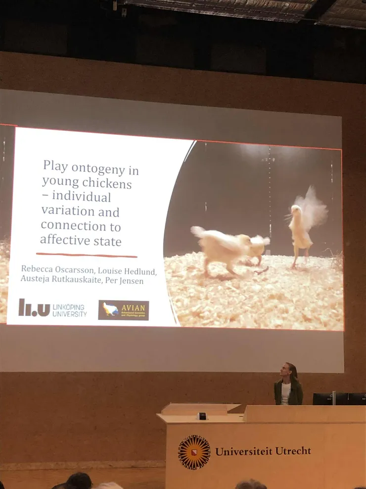 Presentation vid konferens