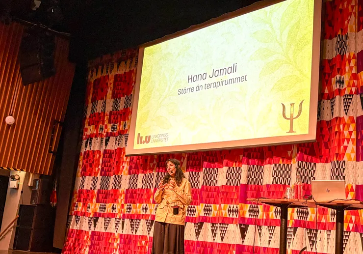 En person föreläser.