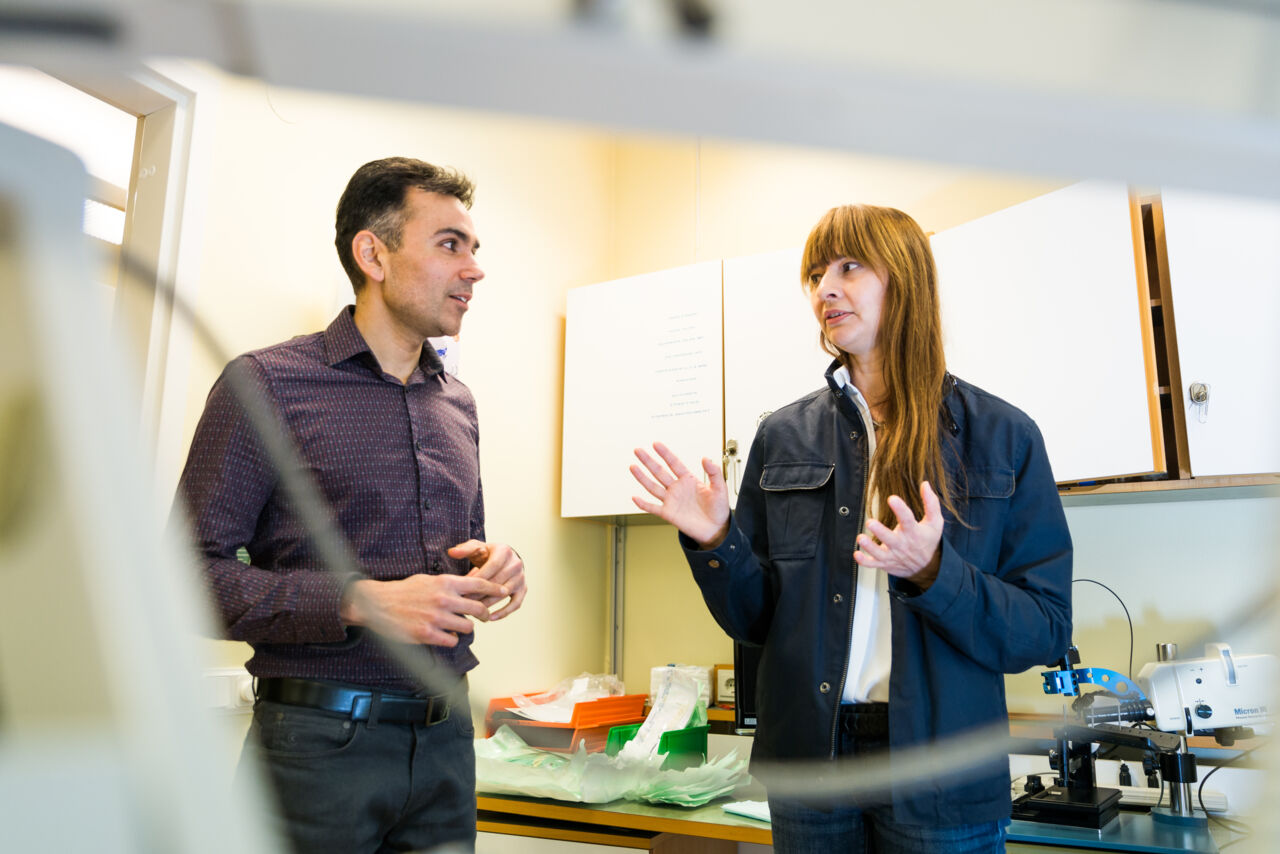 Neil Lagali and Svjetlana Stekovic