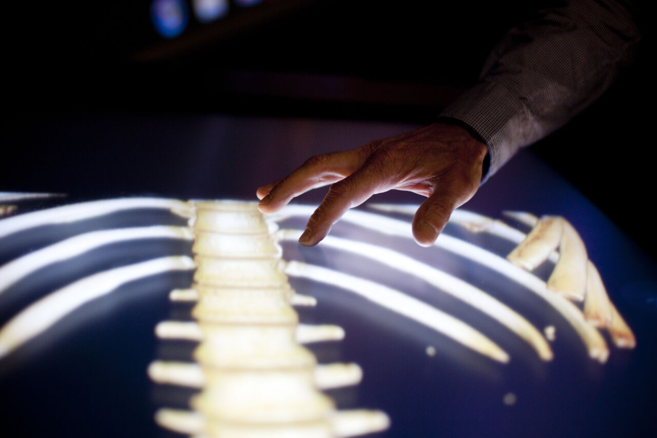 Person interacting with light table